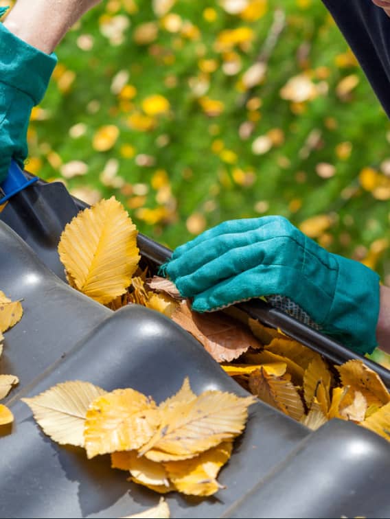 img - man-cleaning-the-gutter